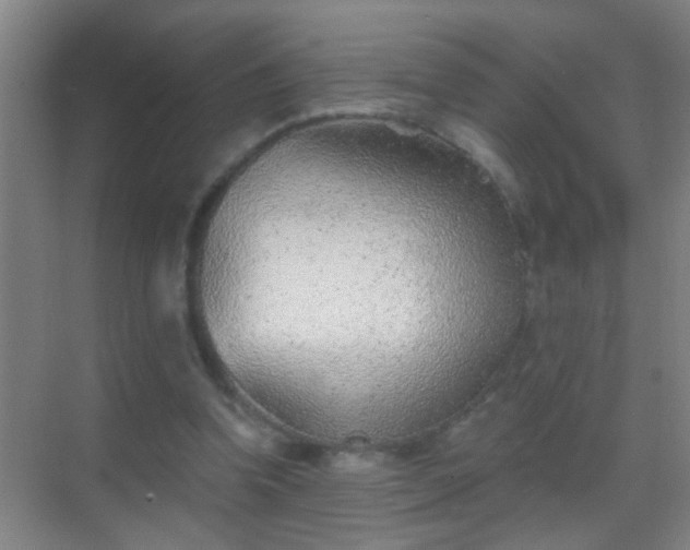 X0000069830346200605261847