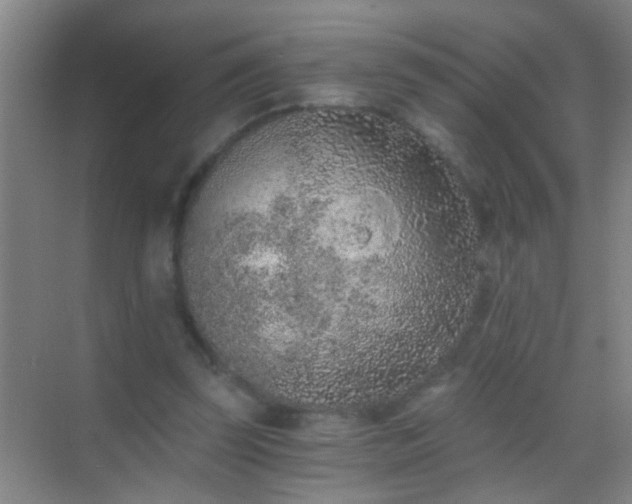 X0000069830347200605261847