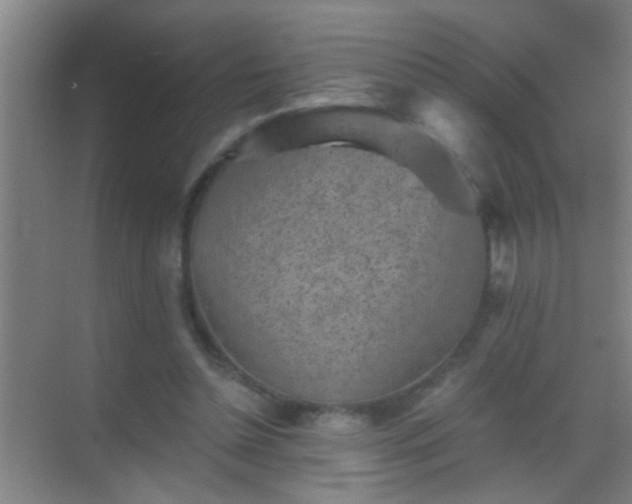 X0000069830348200605261847