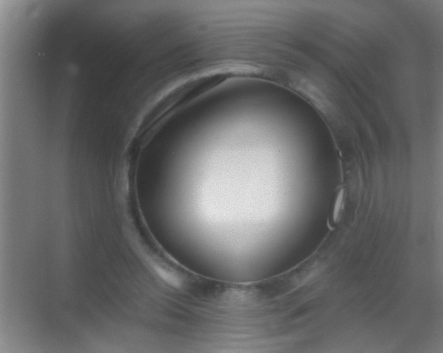 X0000069830350200605261847