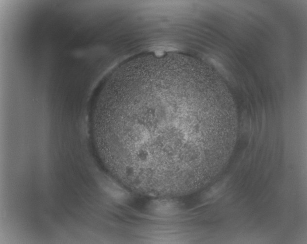 X0000069830351200605261847