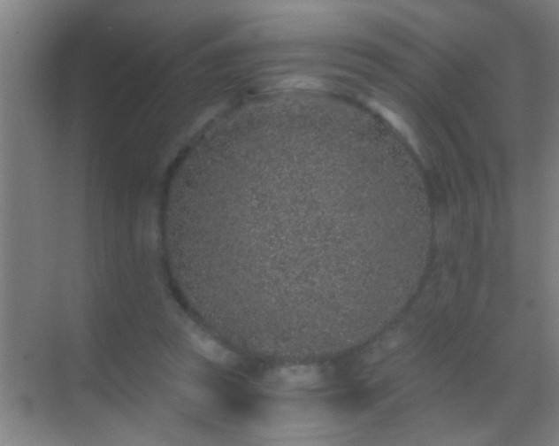 X0000069830353200605261847