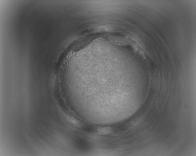 X0000069830355200605261847