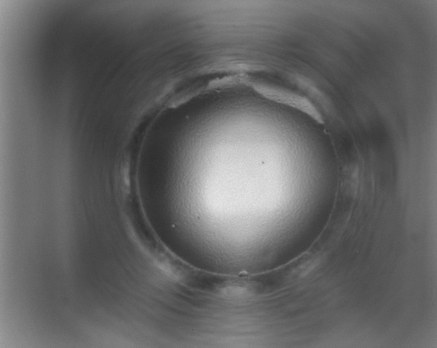 X0000069830358200605261847