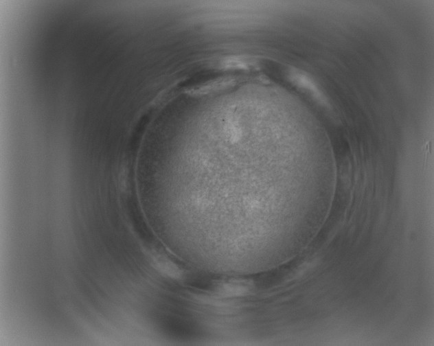 X0000069830359200605261847