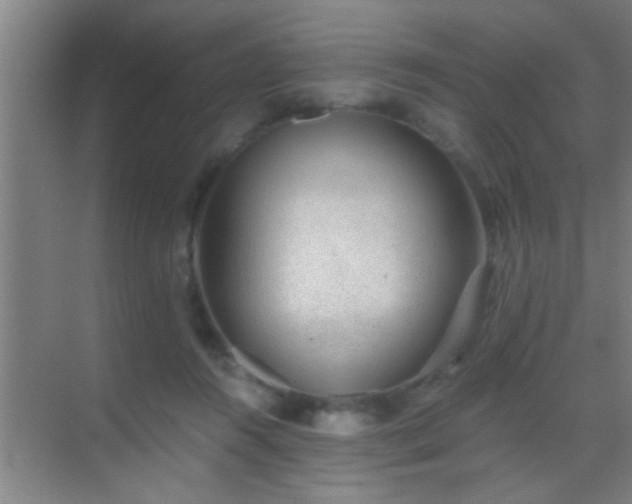 X0000069830360200605261847