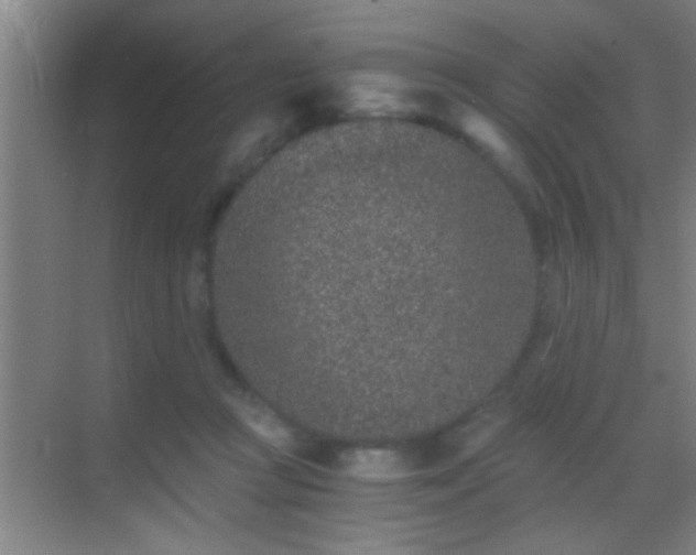 X0000069830361200605261847