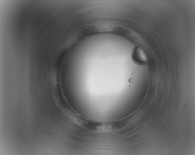 X0000069830362200605261847