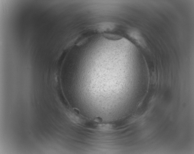 X0000069830363200605261847