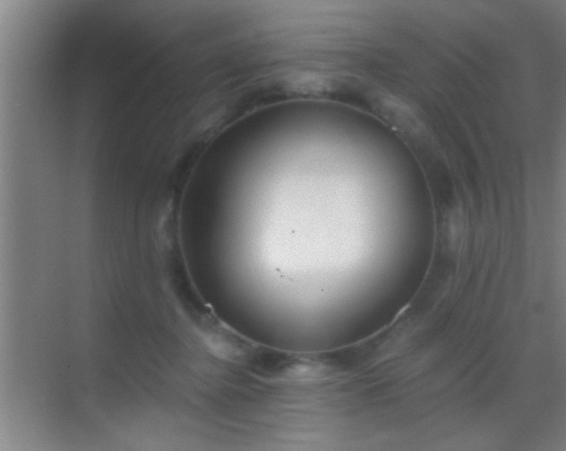 X0000069830364200605261847