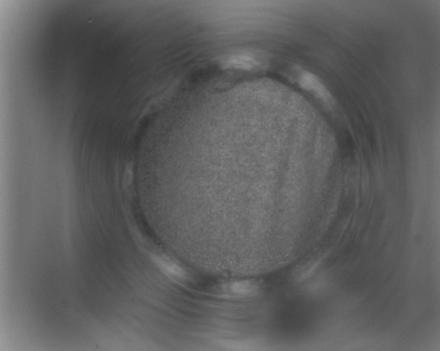 X0000069830365200605261847