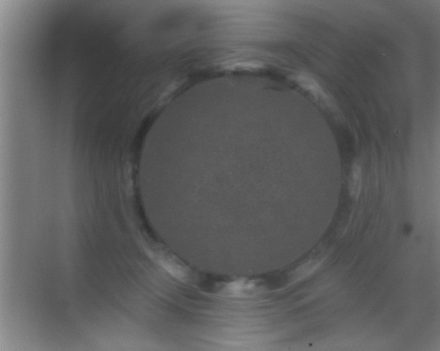 X0000069830366200605261847