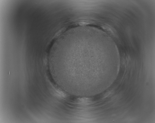 X0000069830367200605261847