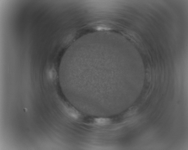 X0000069830371200605261847