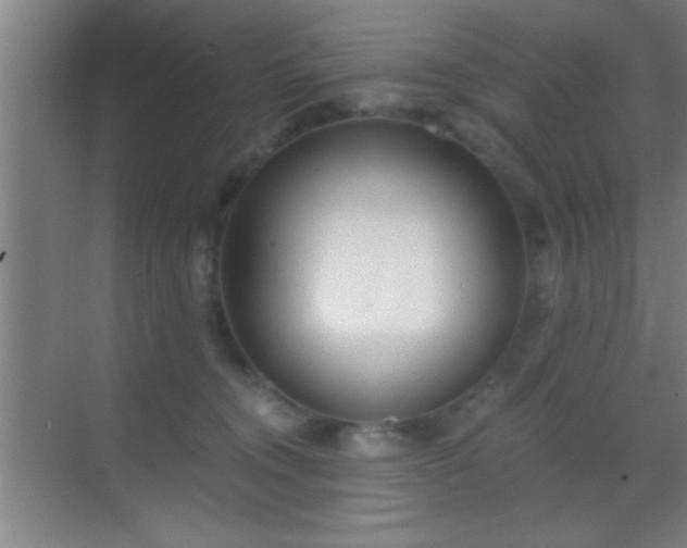 X0000069830372200605261847