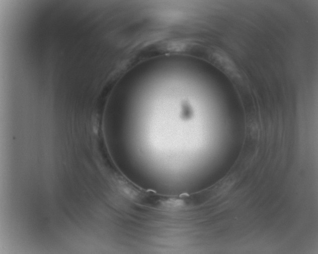 X0000069830374200605261847