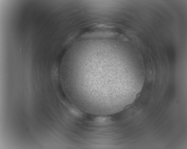 X0000069830375200605261847