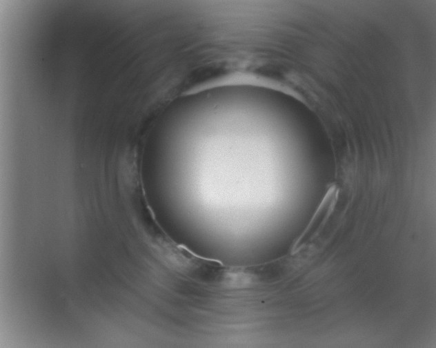 X0000069830376200605261847