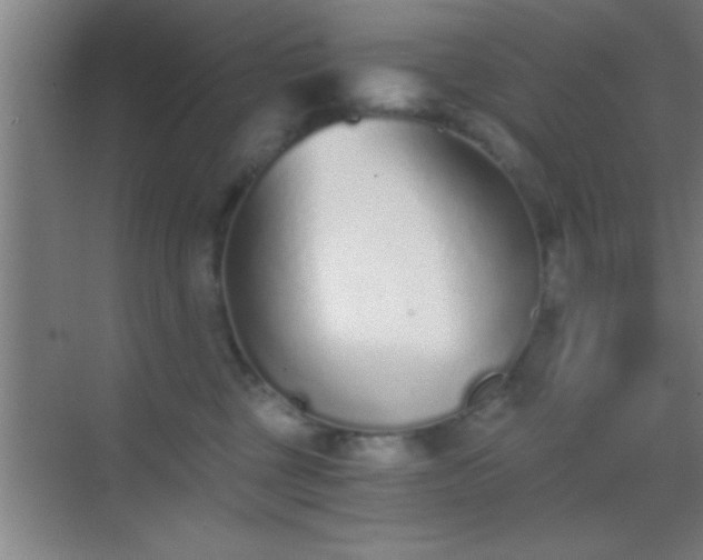 X0000069830377200605261847