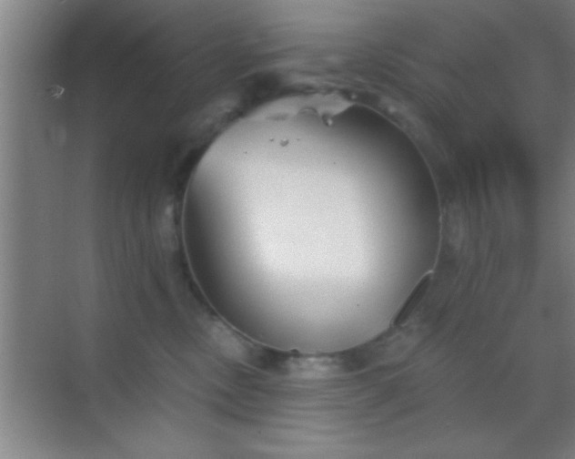 X0000069830378200605261847