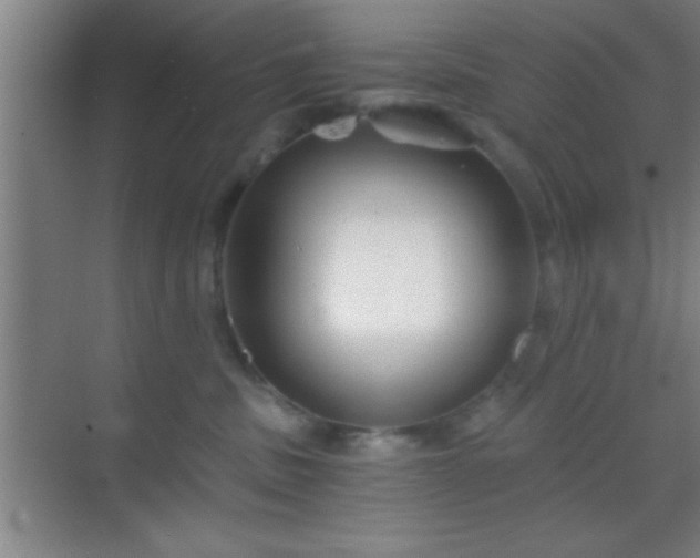 X0000069830379200605261847