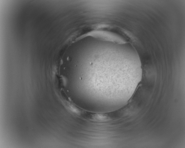 X0000069830380200605261847