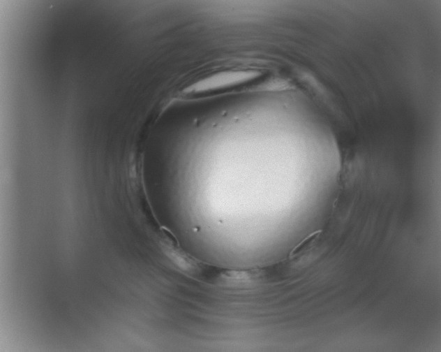 X0000069830381200605261847