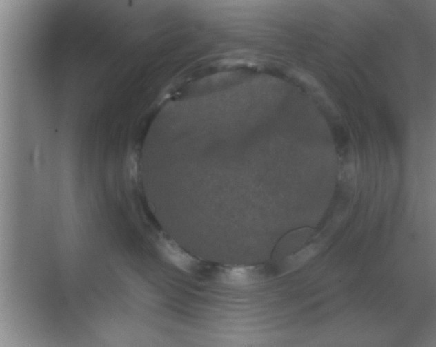 X0000069830382200605261847