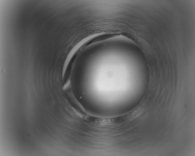 X0000069830384200605261847