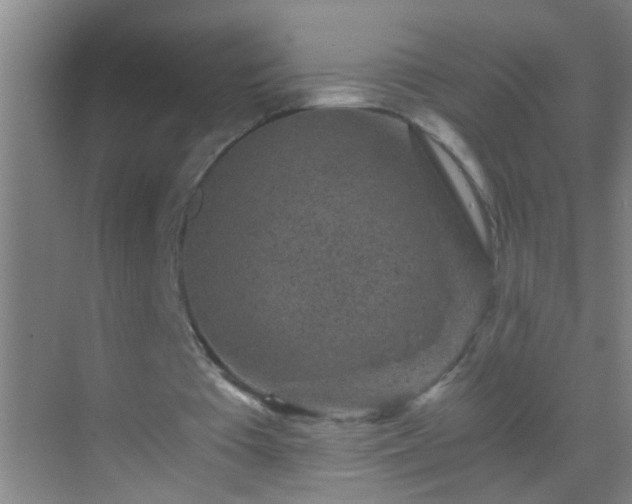 X0000069830385200605261846