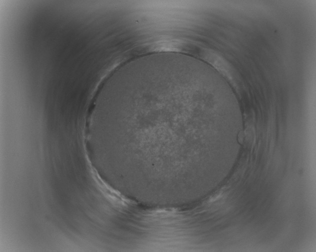 X0000069830386200605261846