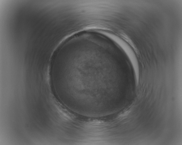 X0000069830387200605261846