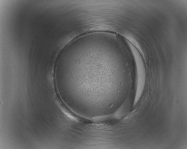 X0000069830389200605261846