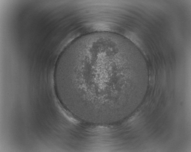 X0000069830390200605261846