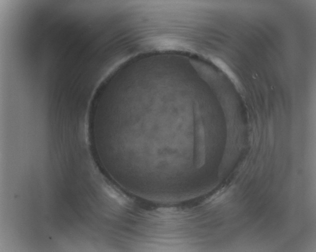 X0000069830391200605261846