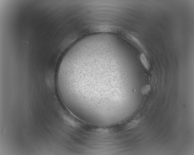 X0000069830394200605261846