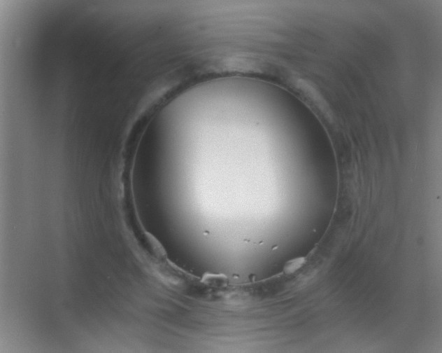 X0000069830395200605261846