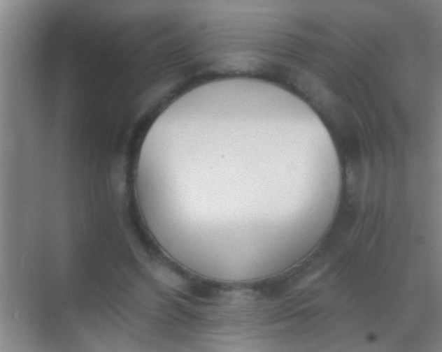 X0000069830396200605261846