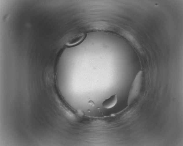 X0000069830397200605261846