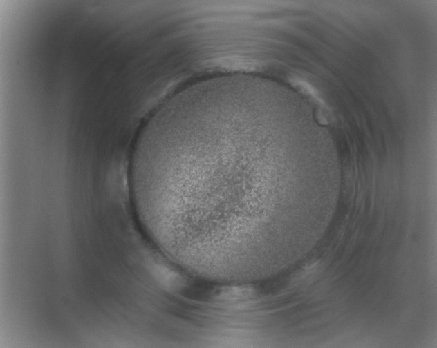 X0000069830398200605261846