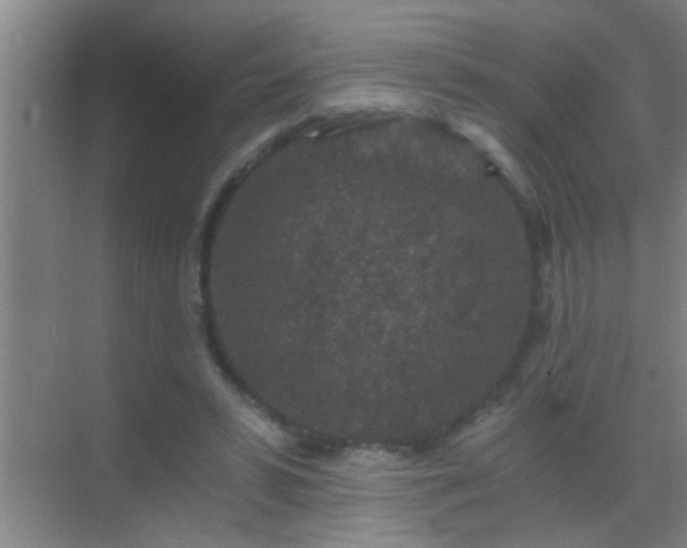 X0000069830399200605261846