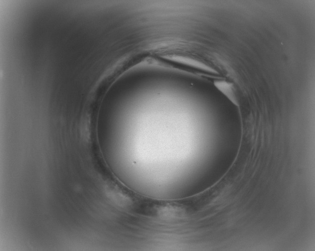 X0000069830400200605261846