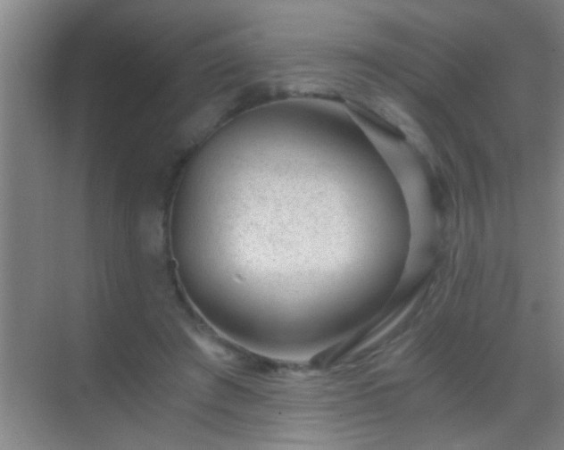 X0000069830401200605261846