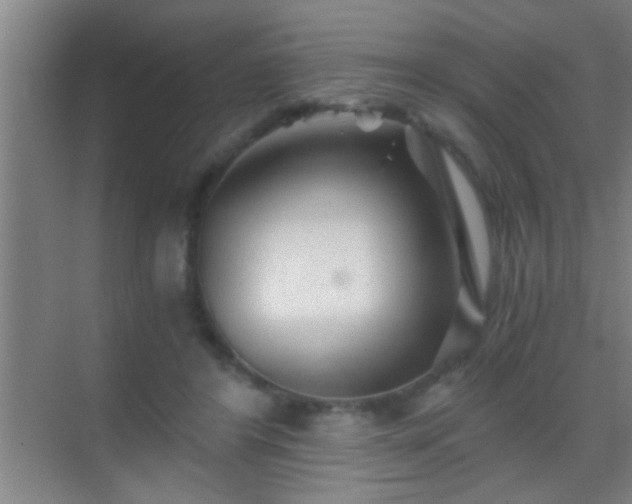 X0000069830404200605261846