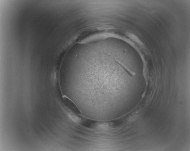 X0000069830405200605261846