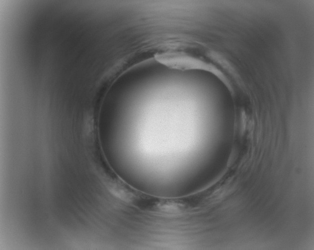 X0000069830407200605261846