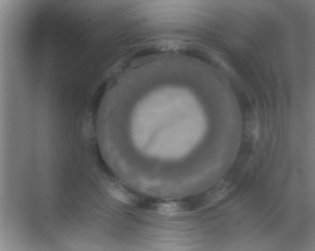 X0000069830411200605261846