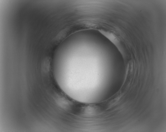 X0000069830412200605261846