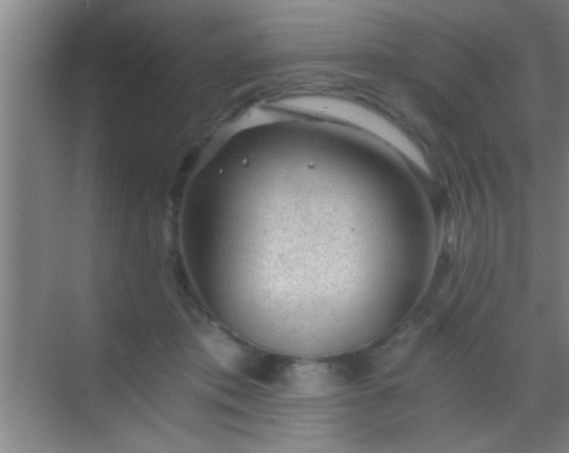 X0000069830413200605261846