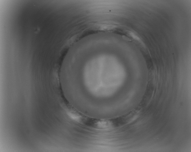 X0000069830415200605261846